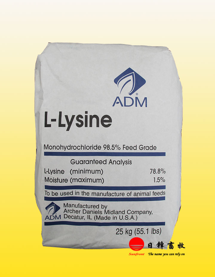 ADM L-ه}}ϼ