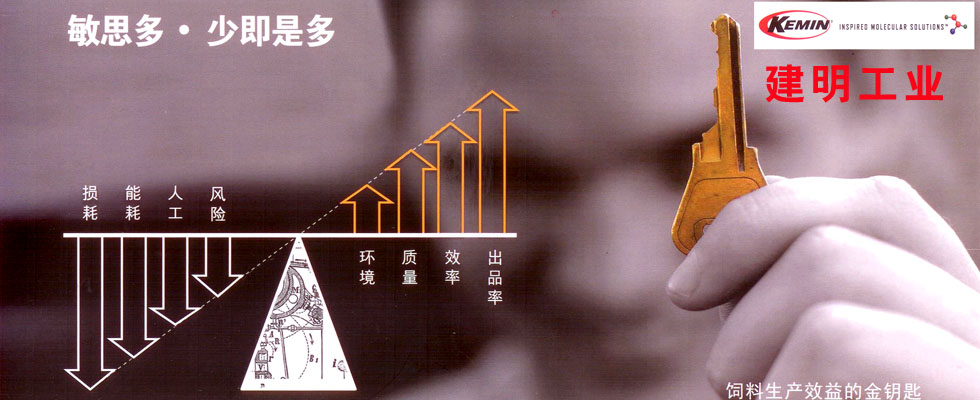 敏思多飼料生產(chǎn)優(yōu)化系統(tǒng)
