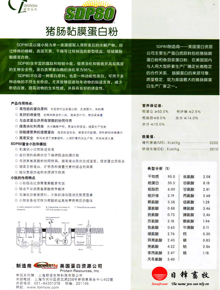 icճĤ׷SDP80a(chn)ƷY