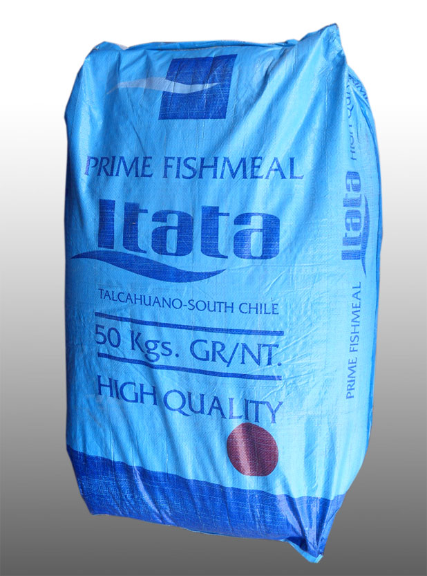 a(chn)ITATA̩(gu)(j)t~(y)