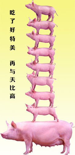 豬用好特美飼料復(fù)合酶制劑