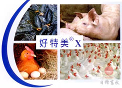 好特美復(fù)合酶