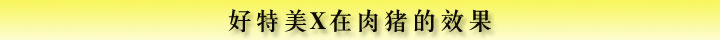 好特美X在肉豬的效果