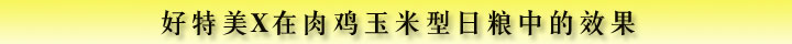 好特美飼料復(fù)合酶制劑X在肉雞玉米型日糧中的效果