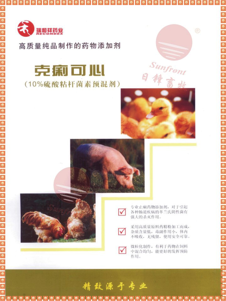 ճA(y)섩Ʒzy