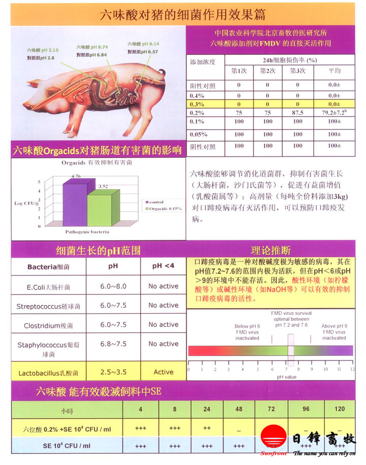 六味酸對豬的腸道細菌作用效果