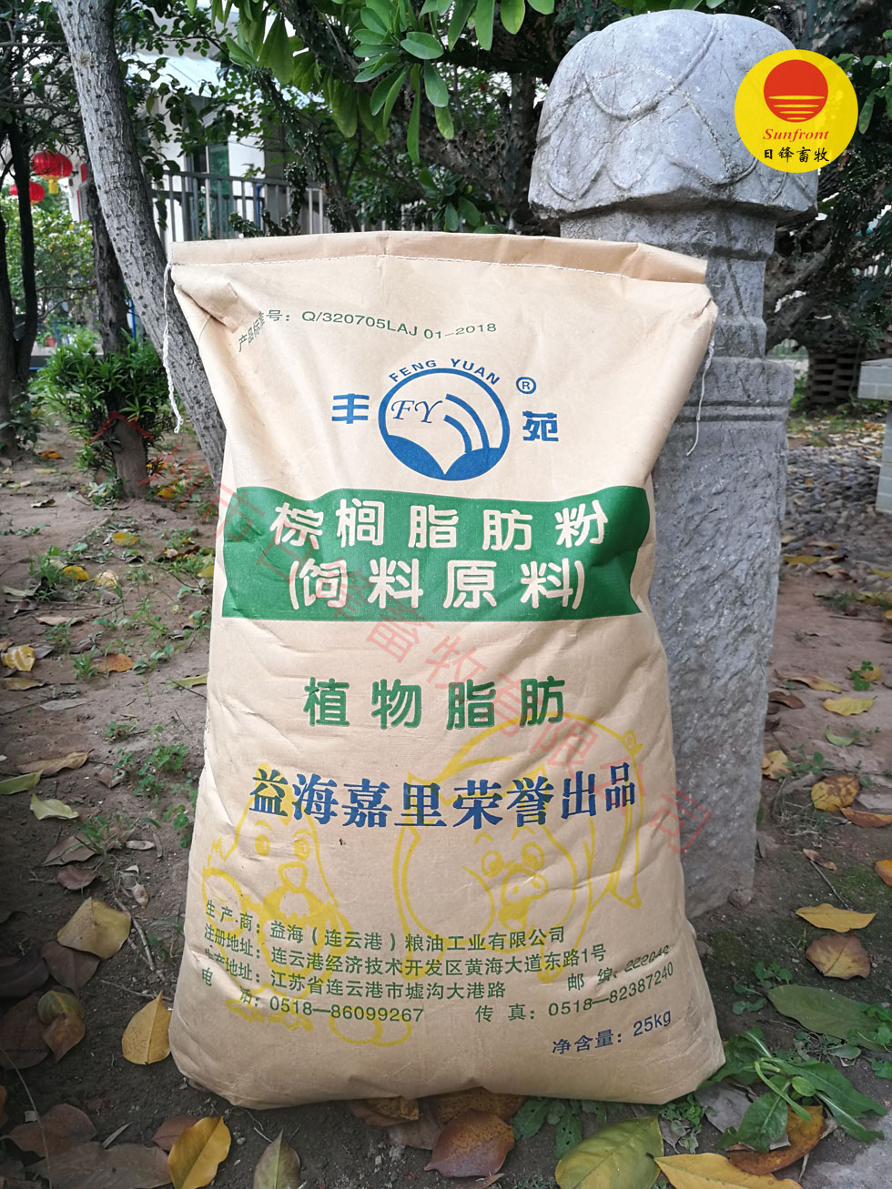 溣֬(ֲ֬֬)