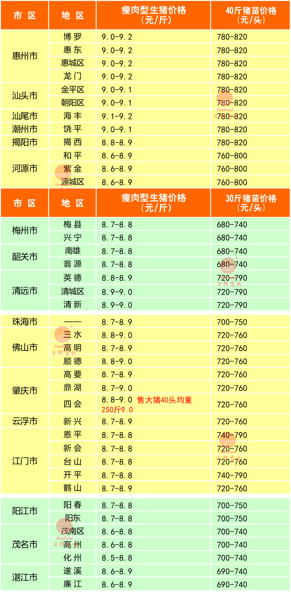 2月4日廣東豬價(jià)