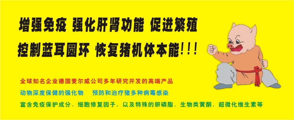 德國(guó)麥爾威圓環(huán)克，治療豬圓環(huán)病毒病，豬藍(lán)耳病毒病，豬皮炎腎病綜合征，增強(qiáng)肝腎功能，促進(jìn)繁殖，提高免疫力